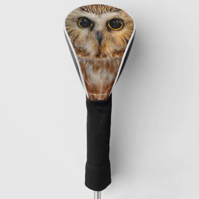 Cute Little Northern Saw Whet Owl Golf Head Cover