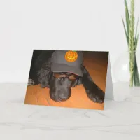 Left Behind This Halloween Card