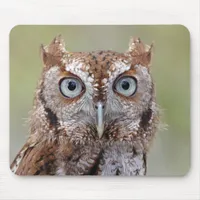 Eastern Screech Owl Photograph Mouse Pad