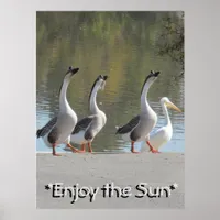 Poster - Sun Loving Geese