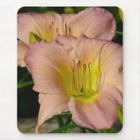 Daylillies Mouse Pad