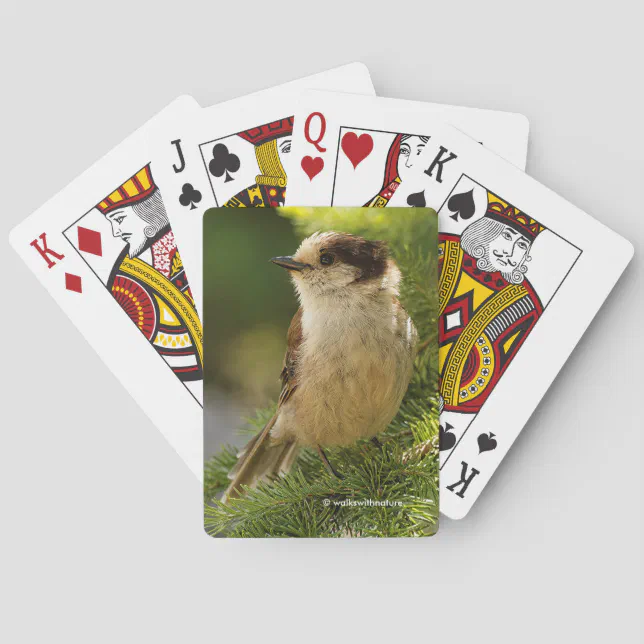 Profile of a Cute Grey Jay Whiskeyjack Poker Cards