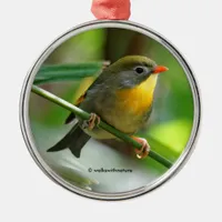 Colorful Leiothrix Pekin Robin Songbird Metal Ornament