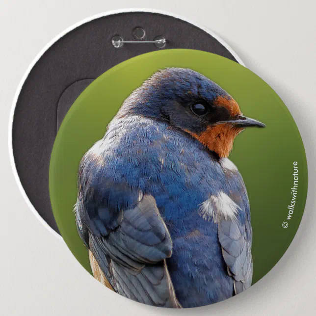 Beautiful Barn Swallow Button