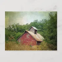 Abandoned and Overgrown Postcard