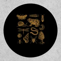 Frog Mushroom Moth Vintage Lover Goblincore Patch