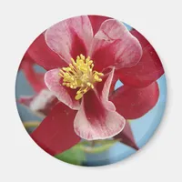 Columbine Flower Magnet