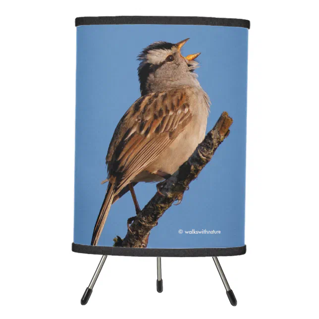 A White-Crowned Sparrow Sings to the Sun Tripod Lamp