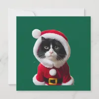 Cute Christmas cat Invitation