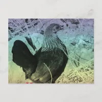 Bantam Hen Easter Holiday Postcard