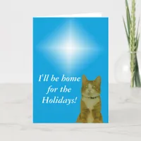 Greeting Card - Christmas Star and Cat