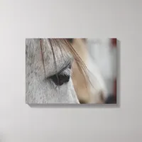 Gray Horse Head Side View Canvas Print