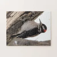 Hairy Woodpecker Working the Wood Jigsaw Puzzle