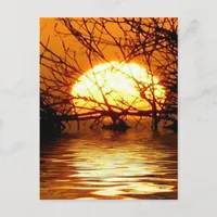 Liquid Sunset Vertical  Postcard