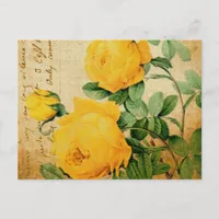 Vintage Yellow Roses Postcard