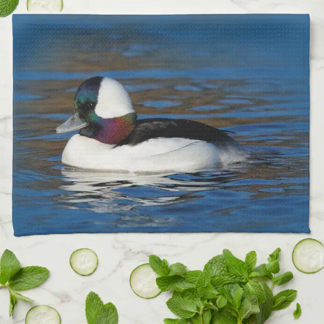 Stunning Bufflehead Duck at the Pond Kitchen Towel