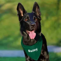 Custom Personalized Name Minimal Hunter Green Pet Bandana Collar