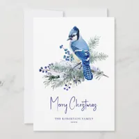 Winter Blue Jay Christmas Holiday Card