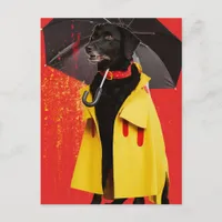 Black Dog in a Yellow Raincoat Postcard