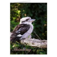 Kookaburra Thoughts.. Card