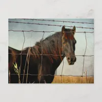 Behind the fence, abstract horse postcard
