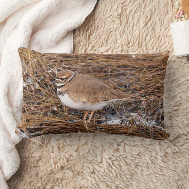 Killdeer in the Freezing Mudflats Lumbar Pillow