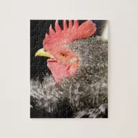 Frizzle Rooster Jigsaw Puzzle