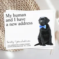Black Lab New Address Dog Moving Announcement Postcard