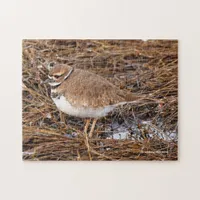 Killdeer in the Freezing Mudflats Jigsaw Puzzle