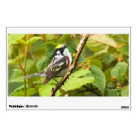 Beautiful Chestnut-Sided Warbler on a Branch Wall Decal