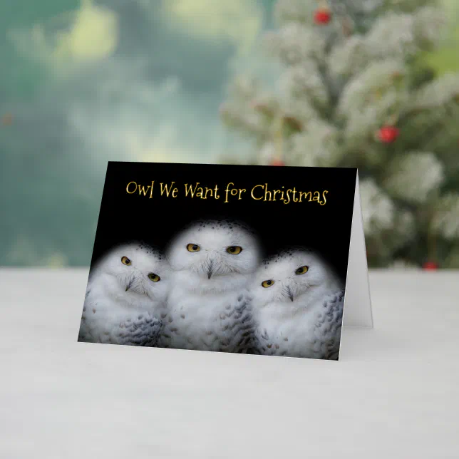 Funny Owl We Want for Christmas Snowy Owls Family Foil Holiday Card