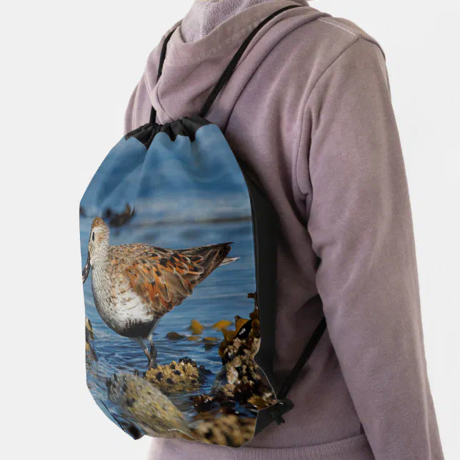 Beautiful Dunlin Sandpiper Shorebird at the Beach Drawstring Bag