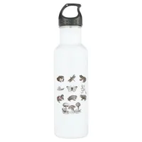 Cottagecore Aesthetic Mushroom Academia Frog Gobli Stainless Steel Water Bottle