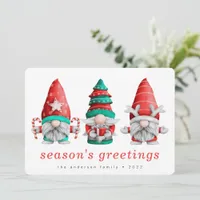 Christmas Gnomes Season's Greetings  Holiday Card