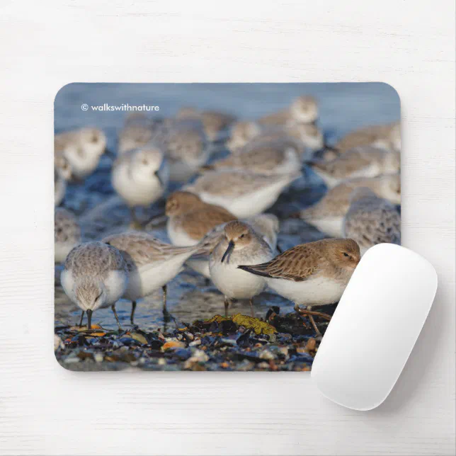 Cute Dunlins Sanderlings Sandpipers at Beach Mouse Pad