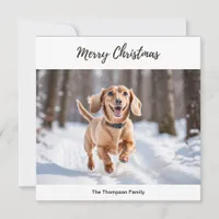 Cream Dachshund In Snow Dog Picture Chic Cute Holiday Card