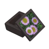 Pretty Lavender Erigeron Flowers Jewelry Box
