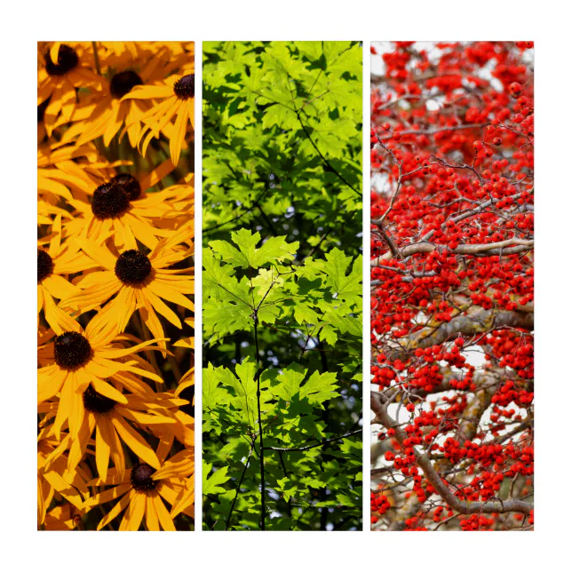 Colors of Nature Triptych