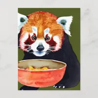 Red Panda Eating Postcard