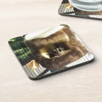 Sugar Glider in Furry Tree Truck Hanging Bed Drink Coaster