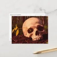 Life and Death Postcard