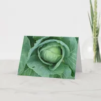 Cabbage Card