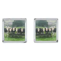 Smile please! Cute cows  - fun  Cufflinks