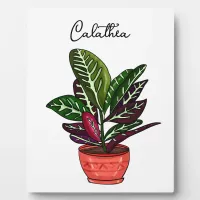 Hand drawn Calathea Plaque