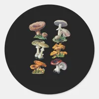 Cottagecore Mushrooms Goblincore Aesthetic Mushroo Classic Round Sticker