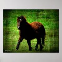Mini Filly Poster