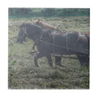 Haying in the Summertime Tile