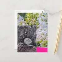 Gorgeous Vintage Women in Flowers Collage Postcard