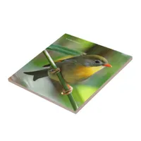 Colorful Leiothrix / Pekin Robin Songbird Tile