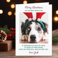 Funny Custom Pet Photo Dog Mom Merry Christmas Holiday Card